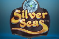 Oynamaq Slot Machine Silver Seas – Pin Up oynayır